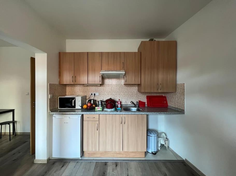 Modern Krymska & Francouzska Street Apartment *