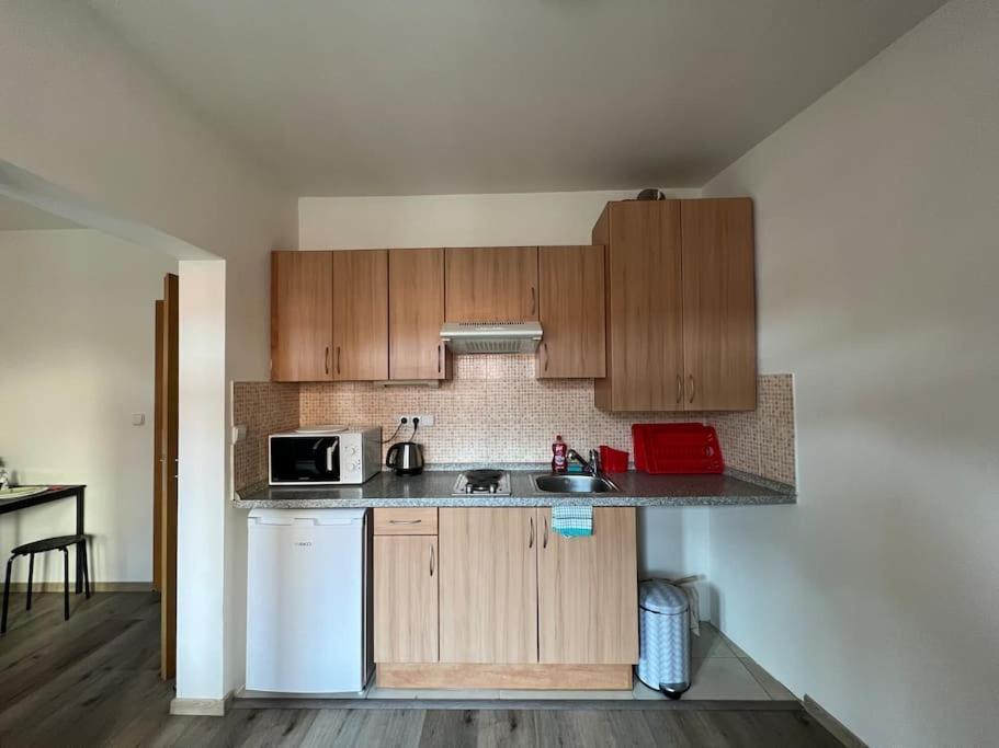 Modern Krymska & Francouzska Street Apartment *