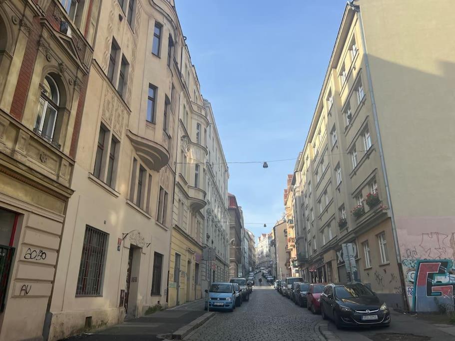Modern Krymska & Francouzska Street Apartment Prague