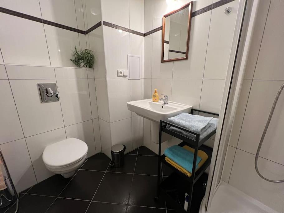 Modern Krymska & Francouzska Street Apartment *