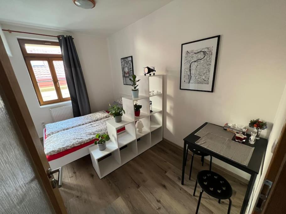 Apartment Modern Krymska & Francouzska Street