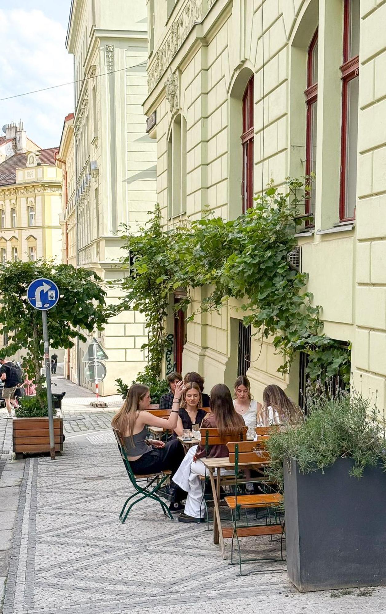 Modern Krymska & Francouzska Street Apartment *